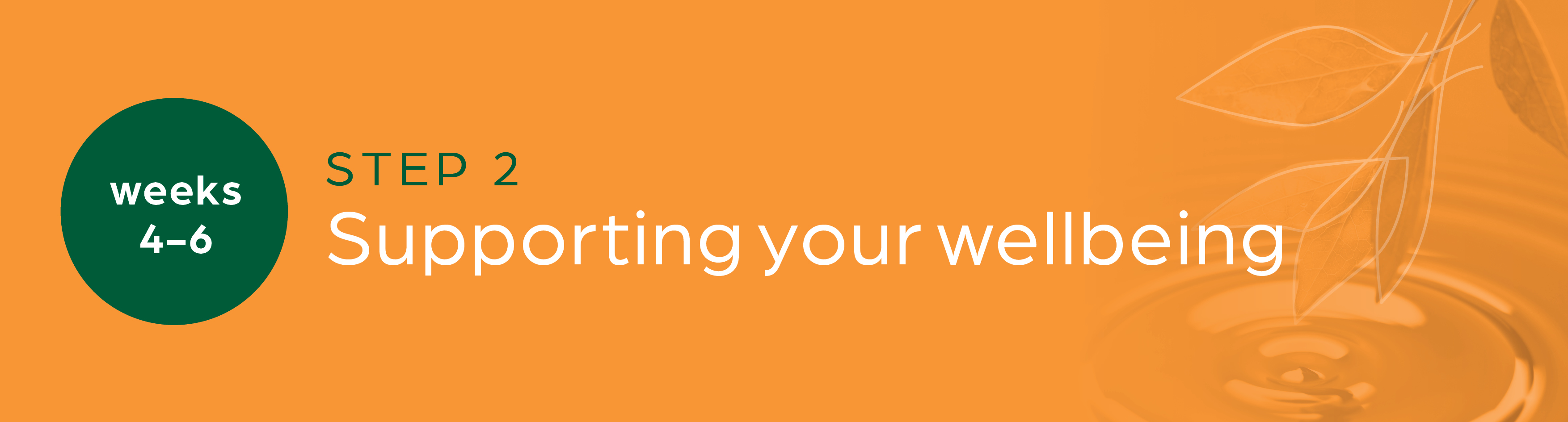 Step Two | Supporting your Wellbeing