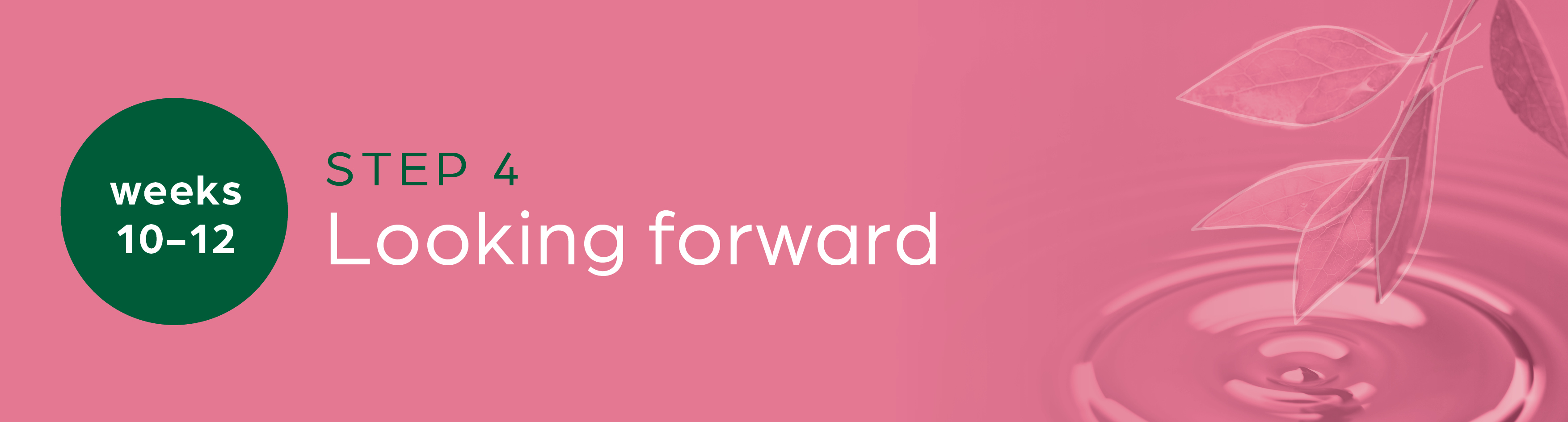 Step Four | Looking Forward